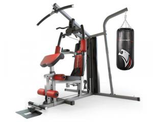 Sportstech HGX260 - Station de Musculation Multifonction avec Sac de Frappe